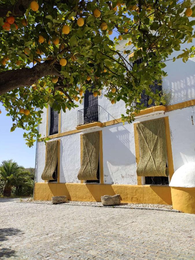 Finca Las Rosas De Santa Ana ビジャマルティン エクステリア 写真