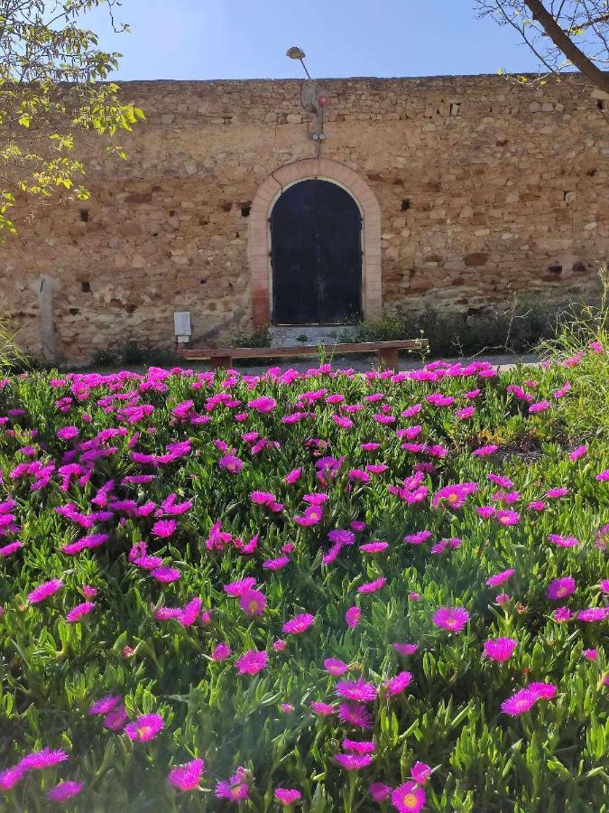 Finca Las Rosas De Santa Ana ビジャマルティン エクステリア 写真