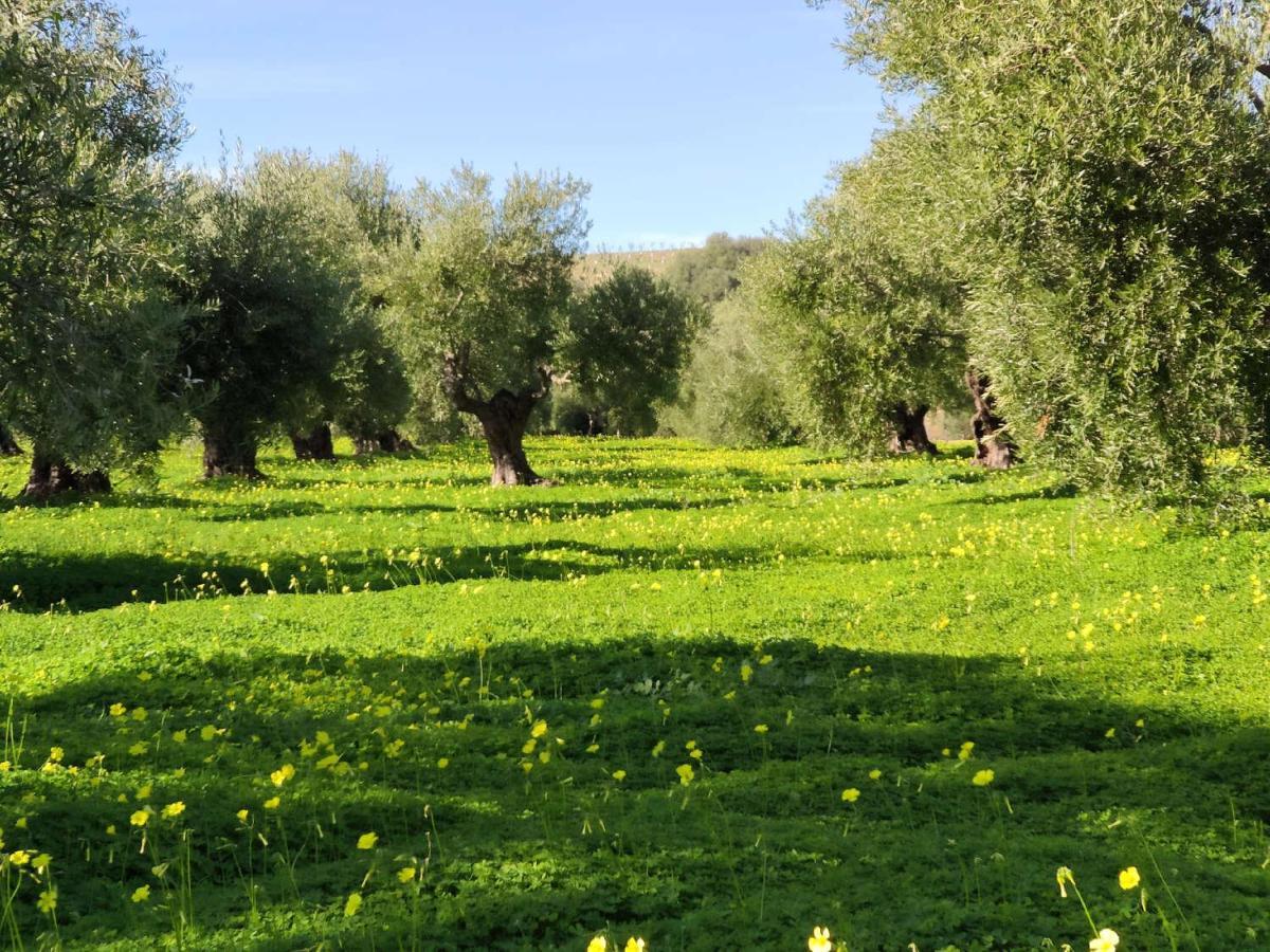 Finca Las Rosas De Santa Ana ビジャマルティン エクステリア 写真