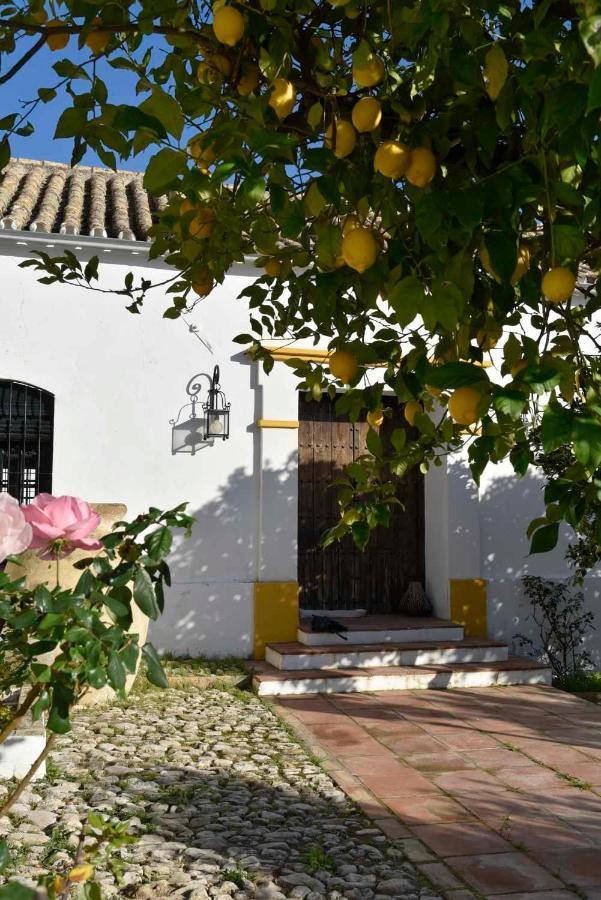 Finca Las Rosas De Santa Ana ビジャマルティン エクステリア 写真