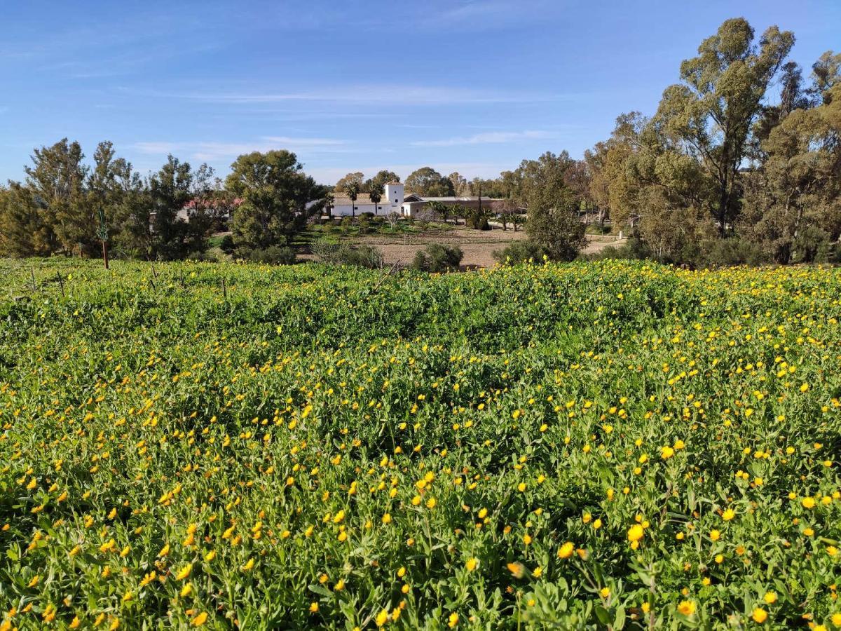 Finca Las Rosas De Santa Ana ビジャマルティン エクステリア 写真